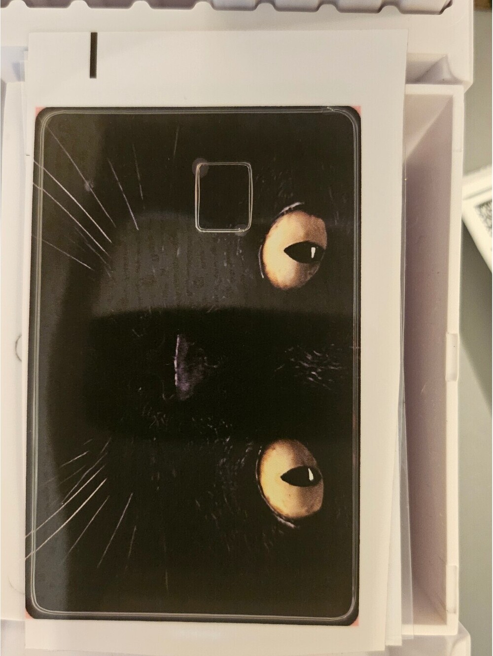 Black Cat Bank/Credit/Debit Card Skin Sticker - NEW
